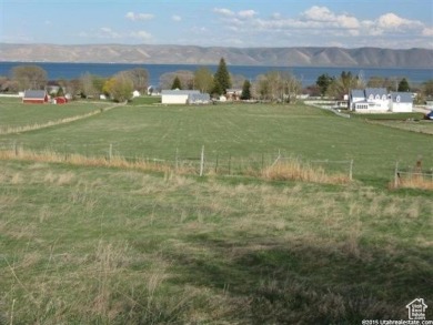 Lake Acreage For Sale in Fish Haven, Idaho