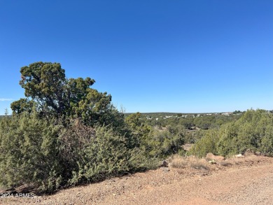 Lake Lot For Sale in Show Low, Arizona