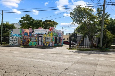 Prime Development Opportunity in Allapattah/Wynwood Junction. 14 - photo 2