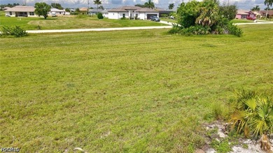 Located in Northwest Cape Coral, this canal front lot is ready - photo 11