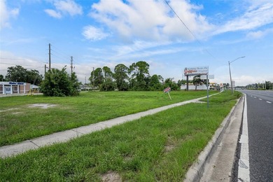 Commercial Vacant Land On The Corner Of US Hwy 19 And Washington - photo 18