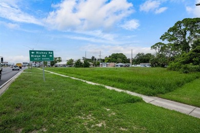 Commercial Vacant Land On The Corner Of US Hwy 19 And Washington - photo 19