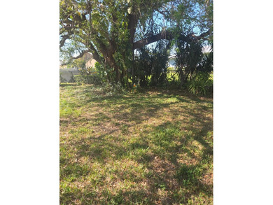 Beautiful 3 Bed 2 Bath with a screen-enclosed Lanai. Newly - photo 29