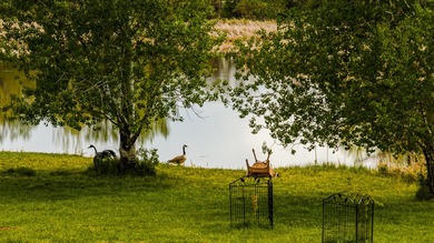 $10,000 Buyer credit towards the improvement of their choice - photo 42