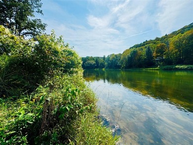 RIVER FRONT!!! Exceptional Investment Opportunity! 18 acres of - photo 11