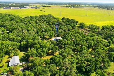 This beautifully renovated two-story estate is set on 6.2 acres - photo 48