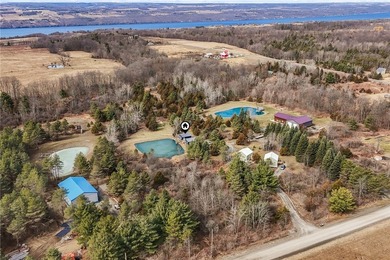 Seneca Lake Home For Sale in Burdett New York