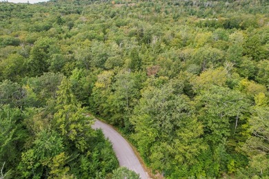 Not finding the perfect place on Newfound Lake? Consider - photo 12