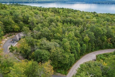 Not finding the perfect place on Newfound Lake? Consider - photo 13