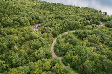 Not finding the perfect place on Newfound Lake? Consider - photo 14