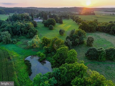 Live authentically. Montmorenci | Circa 1741. Built by Samuel - photo 17
