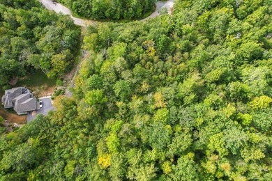 Not finding the perfect place on Newfound Lake? Consider - photo 26