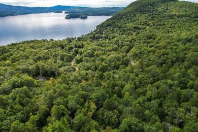 Not finding the perfect place on Newfound Lake? Consider - photo 29