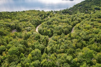 Not finding the perfect place on Newfound Lake? Consider - photo 31