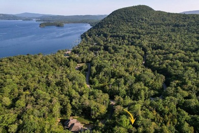 Not finding the perfect place on Newfound Lake? Consider - photo 49