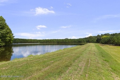 Escape to your own secluded waterfront haven, where breathtaking - photo 54