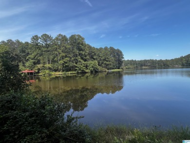 Lake Lot For Sale in Irondale, Alabama