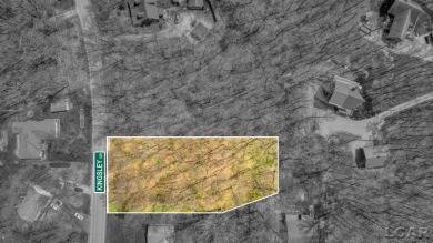 Loch Erin Lake Lot For Sale in Onsted Michigan