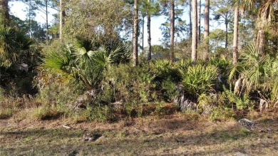 Northport Waterway Lakes and Canals Lot For Sale in North Port Florida
