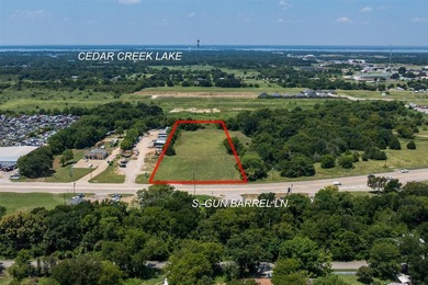 Prime 2.99-Acre Commercial Development Site near Cedar Creek - photo 3