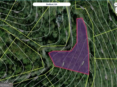 Lake Lot For Sale in Ranger, Georgia
