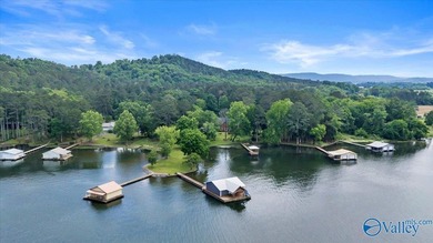 A rare legacy estate on the main channel of Lake Guntersville - photo 48