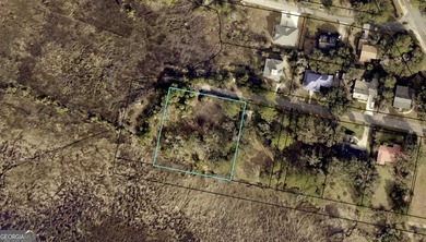 LOCATION, PRIVACY, AND A MARSH VIEW... WHAT MORE COULD YOU WISH - photo 1