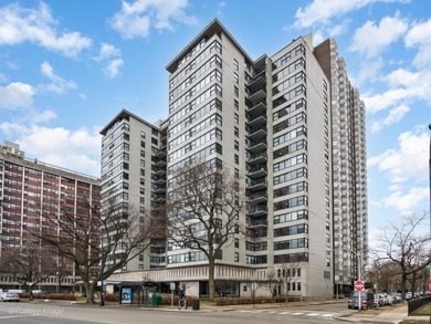 Lake Michigan - Cook County Condo For Sale in Chicago Illinois
