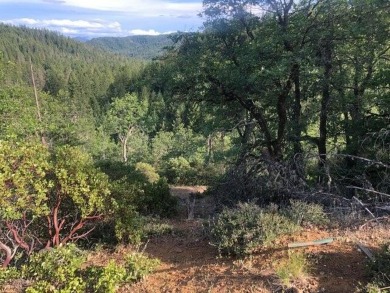 Trinity Lake / Clair Engle Lake Acreage For Sale in Trinity Center California