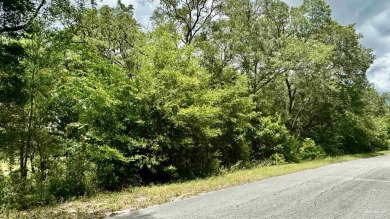 Lake Lot For Sale in Dunnellon, Florida