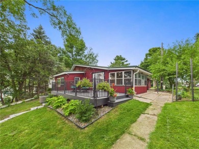 Lake Home For Sale in Munson Twp, Minnesota