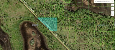 Reedy Lake Acreage For Sale in Frostproof Florida