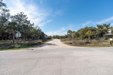 Rare opportunity to own land on highly sought-after Live Oak - photo 22