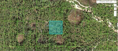 Reedy Lake Acreage For Sale in Frostproof Florida