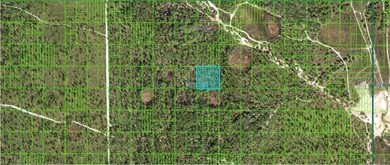 This 2.53-acre vacant lot in Frostproof, Florida, offers a rare - photo 3