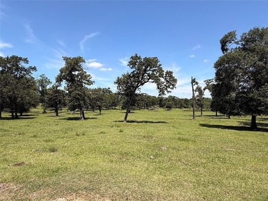 Strategically located at the highly visible intersection of FM - photo 16