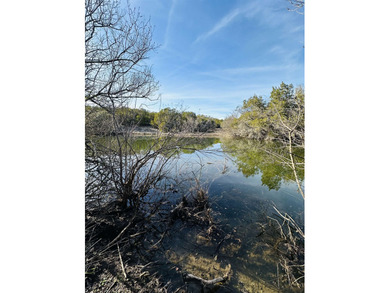 (private lake, pond, creek) Home For Sale in Bertram Texas