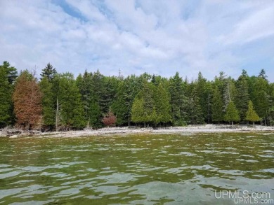 Lake Acreage Off Market in Garden, Michigan