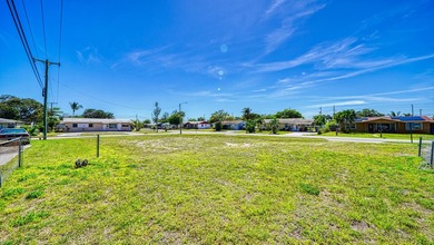 Exclusive and Prestine Corner Lot located in the subdivision of - photo 3