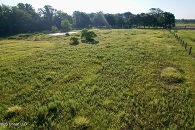 Welcome to your dream property at 197 Hwy 8, Cleveland, MS! This - photo 11