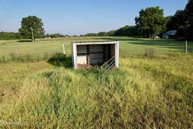 Welcome to your dream property at 197 Hwy 8, Cleveland, MS! This - photo 12