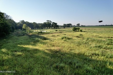 Welcome to your dream property at 197 Hwy 8, Cleveland, MS! This - photo 13