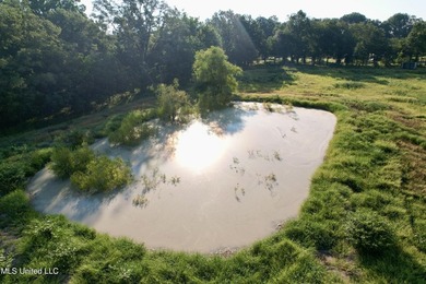 Welcome to your dream property at 197 Hwy 8, Cleveland, MS! This - photo 14