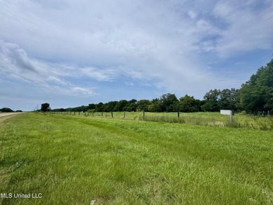 Welcome to your dream property at 197 Hwy 8, Cleveland, MS! This - photo 24