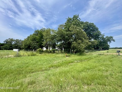 Welcome to your dream property at 197 Hwy 8, Cleveland, MS! This - photo 25