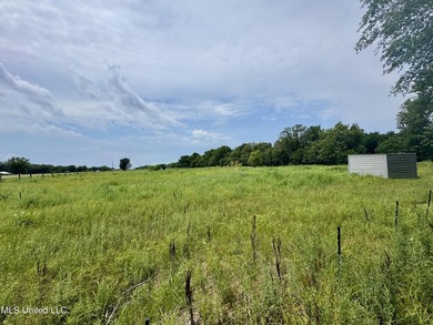 Welcome to your dream property at 197 Hwy 8, Cleveland, MS! This - photo 27