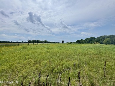 Welcome to your dream property at 197 Hwy 8, Cleveland, MS! This - photo 28