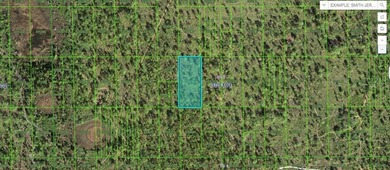 Lake Kissimmee Lot For Sale in Lake Wales Florida