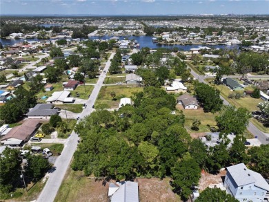South Branch Manatee River  Lot For Sale in Ruskin Florida