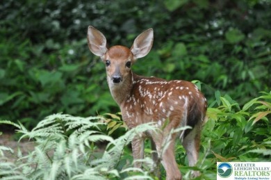 Indian Mountain Lakes Lot For Sale in Tunkhannock Twp Pennsylvania